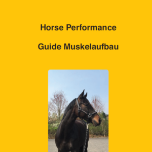 Horse Performance - Muskelaufbau