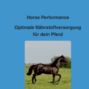 Horse Performance - darauf kommt es bei der Pferdeernährung wirklich an